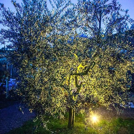 I Roseti Alloggio per agriturismo