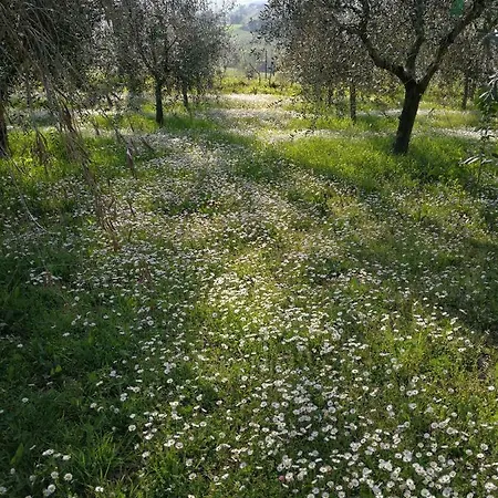I Roseti Alloggio per agriturismo Montepulciano Stazione